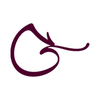 گینزا گلد گالری